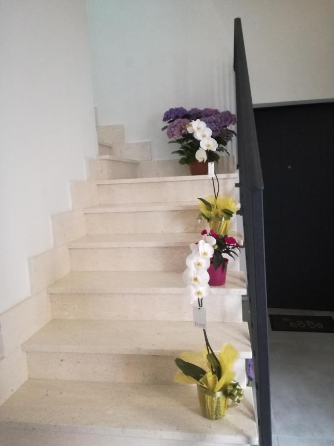 Adagiostay Elmas Ngoại thất bức ảnh